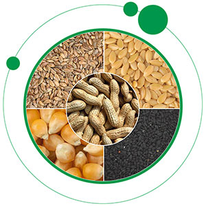 Organic Fertilizer
