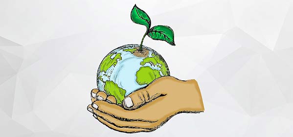 Organic Fertilizer